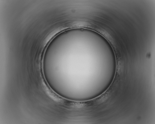 X0000112501039200908241345