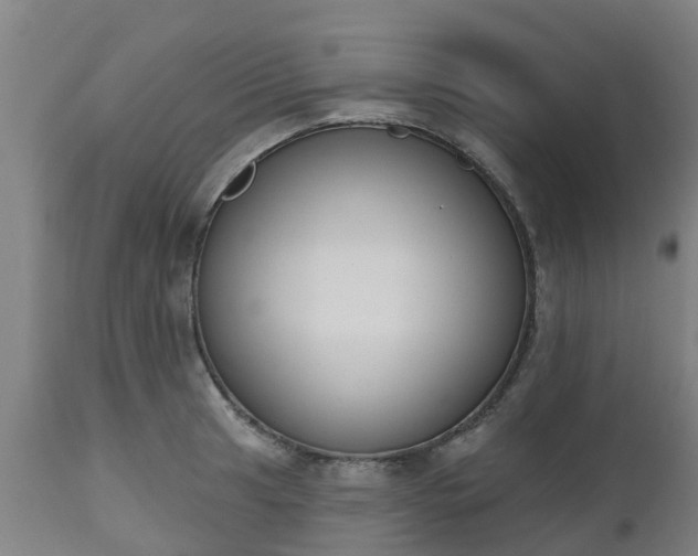 X0000112501041200908241345