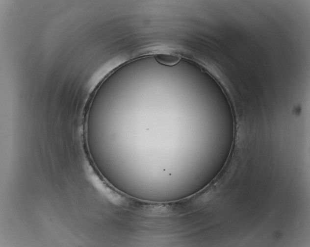 X0000112501042200908241345