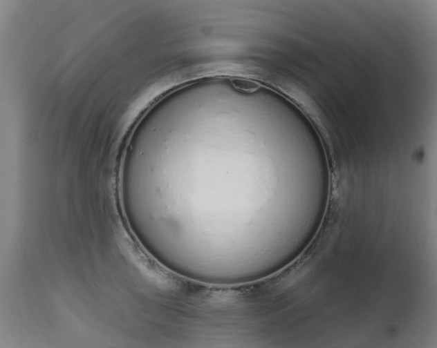 X0000112501043200908241345