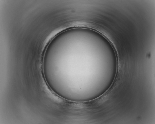 X0000112501045200908241345