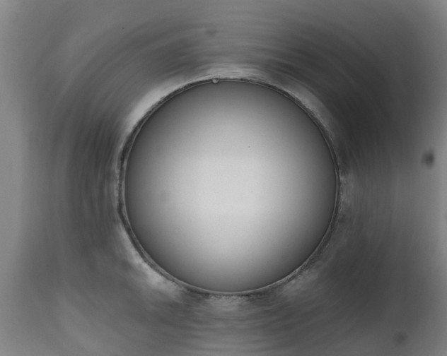 X0000112501046200908241345