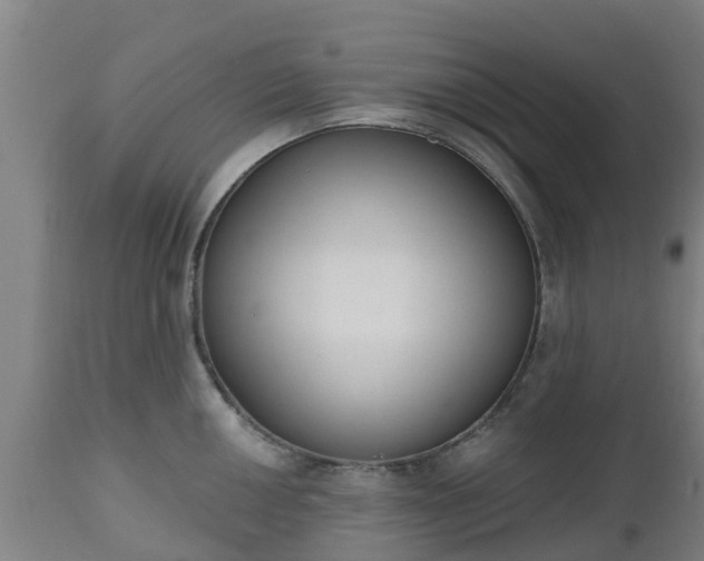 X0000112501050200908241345