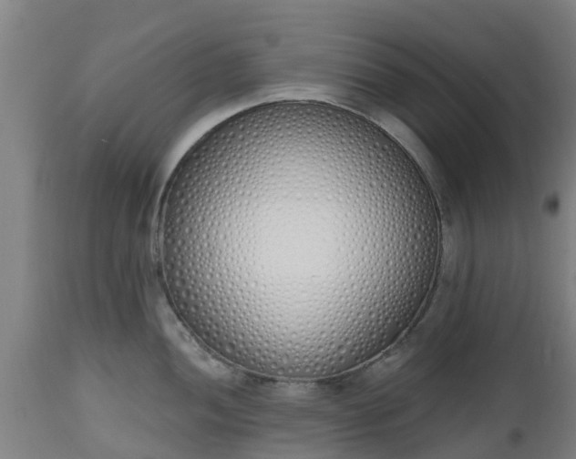 X0000112501052200908241345