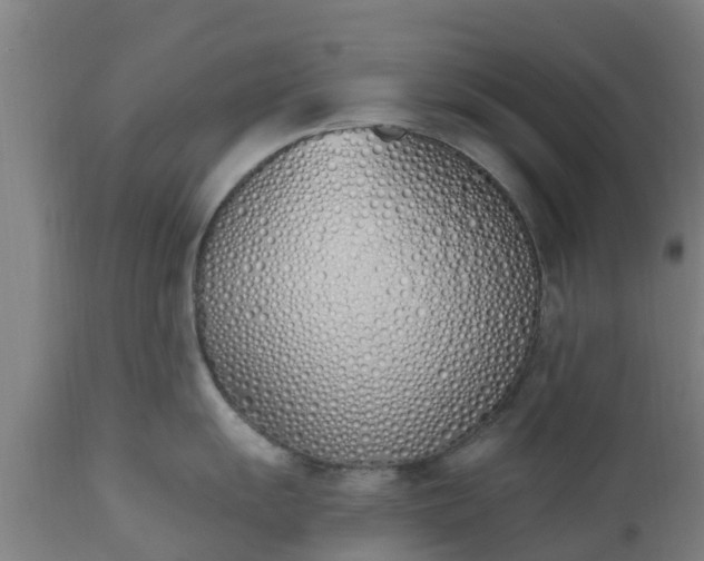 X0000112501055200908241345