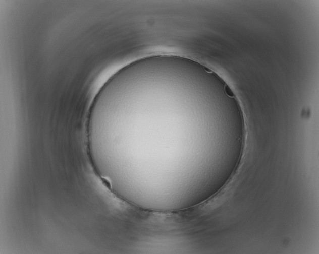 X0000112501056200908241345