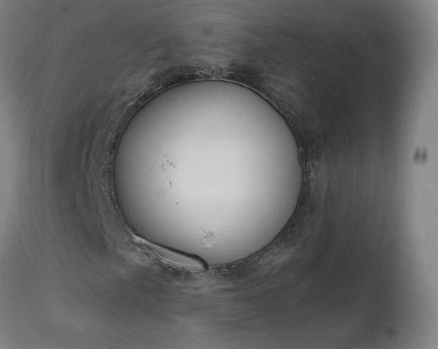 X0000112501057200908241344