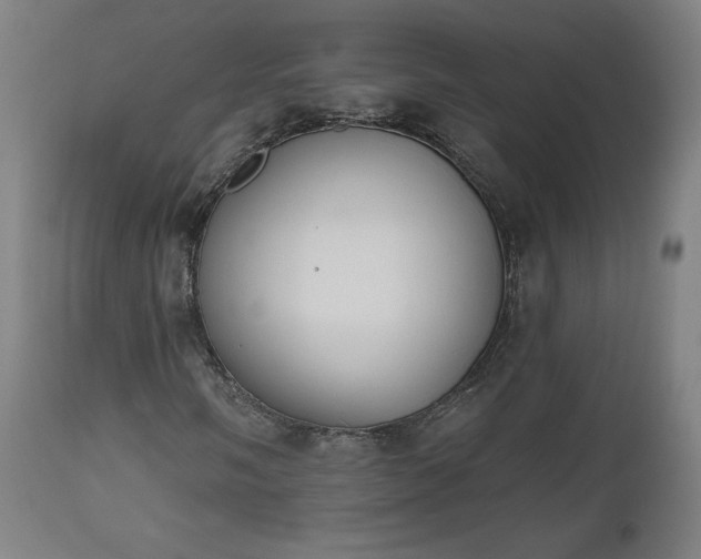 X0000112501058200908241344