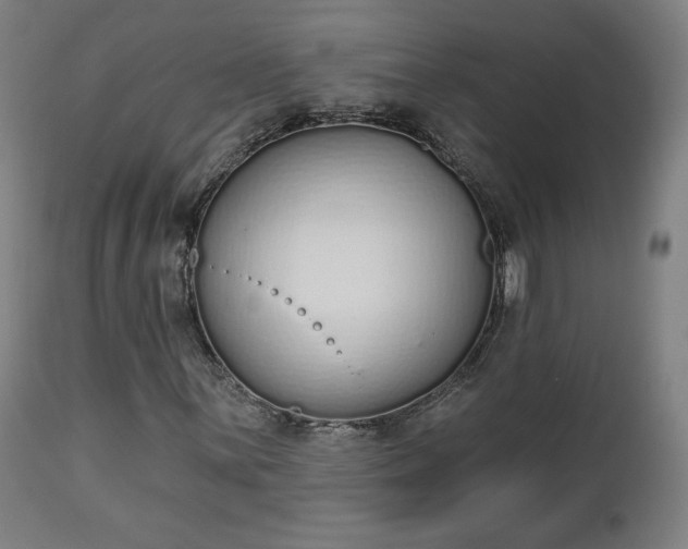 X0000112501059200908241344