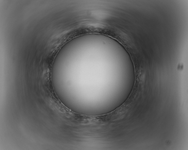 X0000112501061200908241344