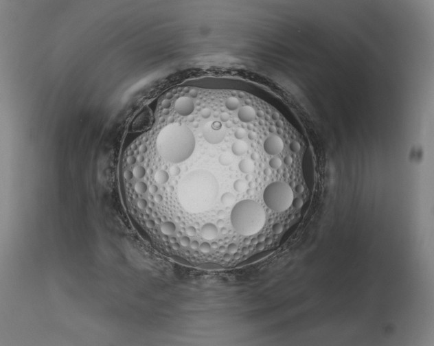 X0000112501063200908241344