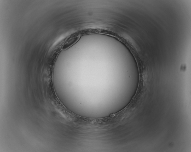 X0000112501064200908241344