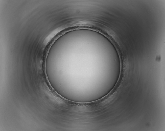 X0000112501066200908241344