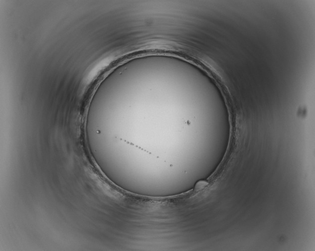 X0000112501067200908241344