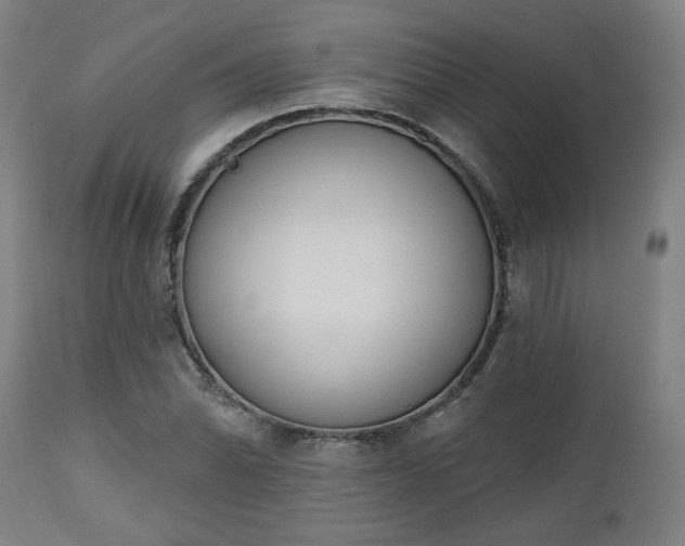 X0000112501070200908241344