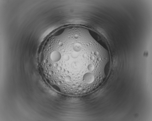 X0000112501071200908241344