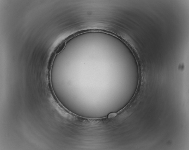 X0000112501072200908241344