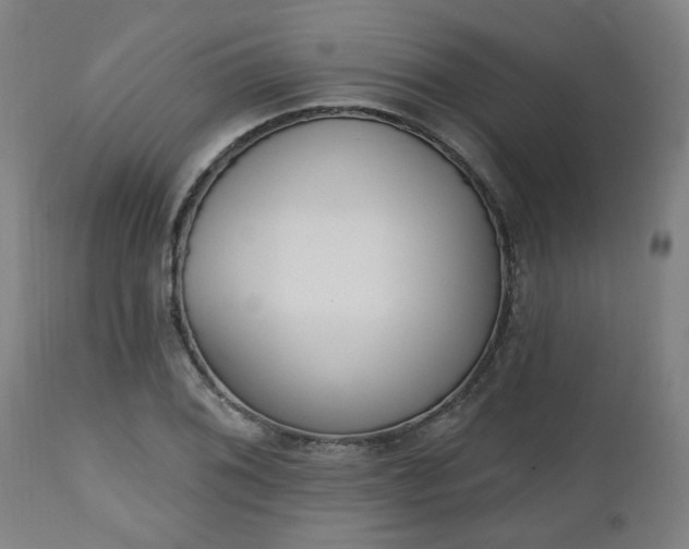 X0000112501076200908241344