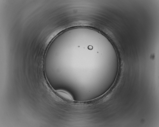 X0000112501081200908241344