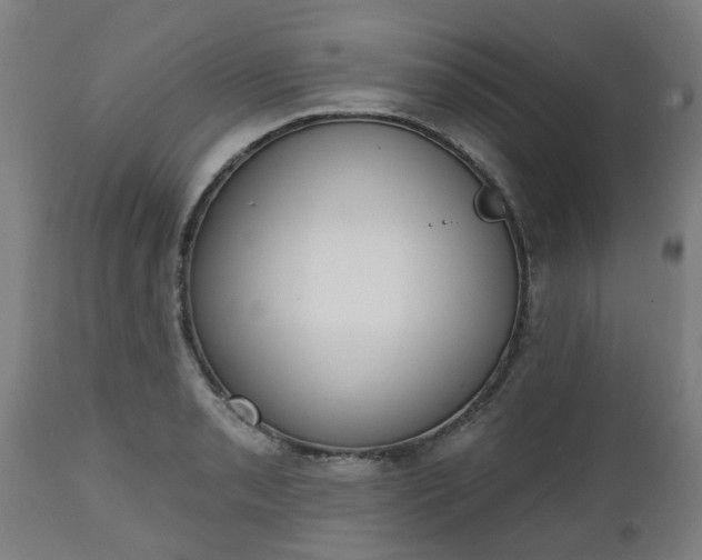 X0000112501085200908241344