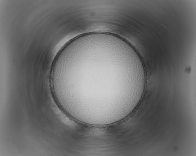 X0000112501086200908241344