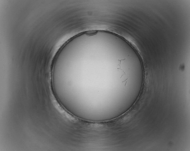 X0000112501088200908241344