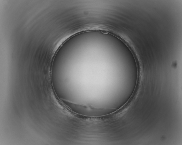 X0000112501089200908241344