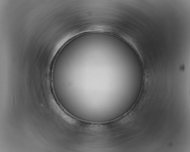 X0000112501091200908241344