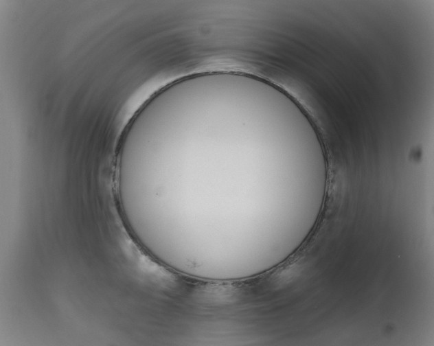 X0000112501094200908241344