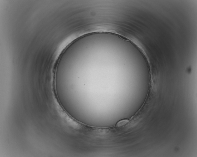 X0000112501096200908241344