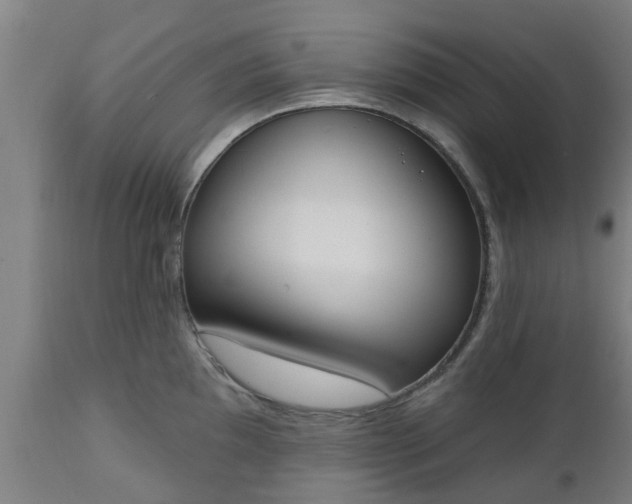 X0000112501097200908241344