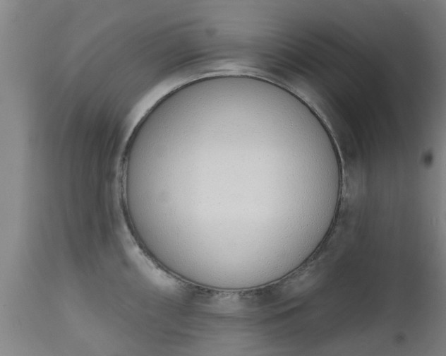 X0000112501098200908241344