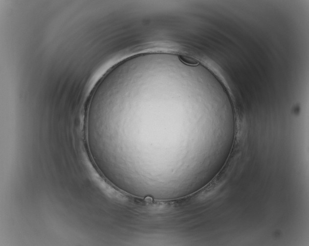 X0000112501099200908241344