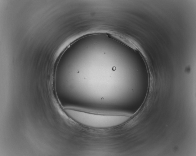 X0000112501101200908241343