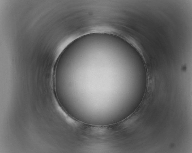 X0000112501103200908241343