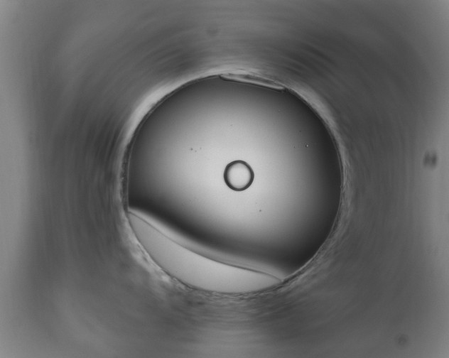 X0000112501104200908241343