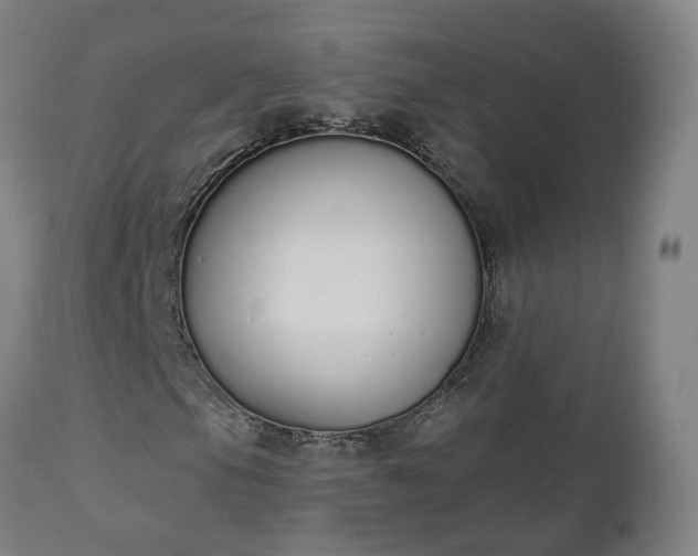 X0000112501105200908241343