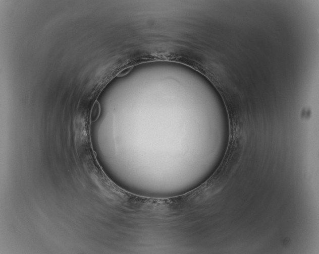 X0000112501106200908241343