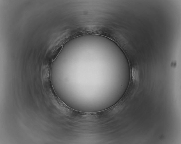 X0000112501107200908241343