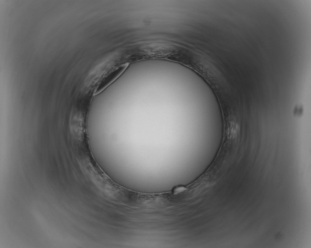 X0000112501108200908241343