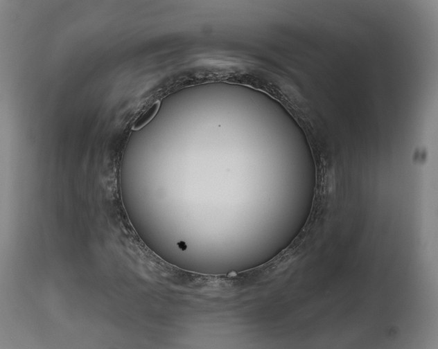 X0000112501109200908241343