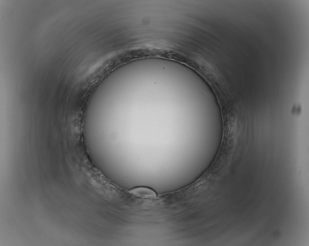 X0000112501110200908241343