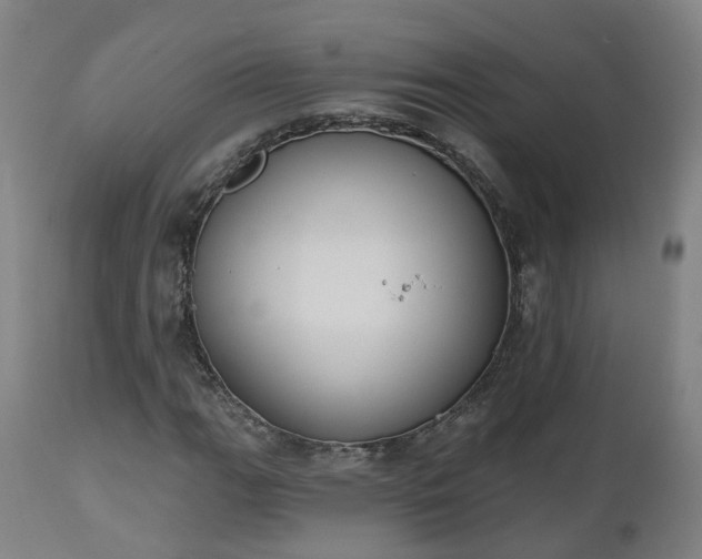 X0000112501111200908241343