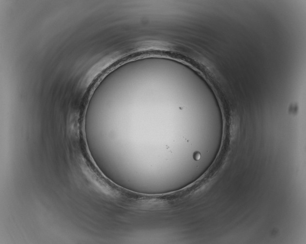 X0000112501113200908241343