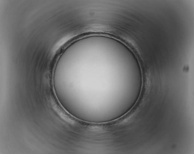 X0000112501114200908241343