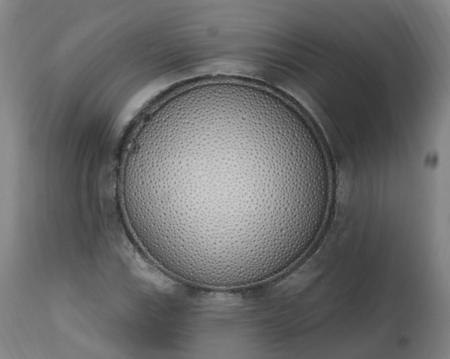 X0000112501115200908241343