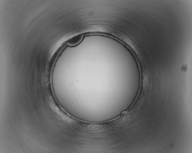 X0000112501116200908241343