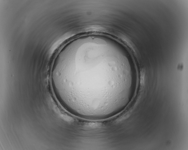 X0000112501117200908241343