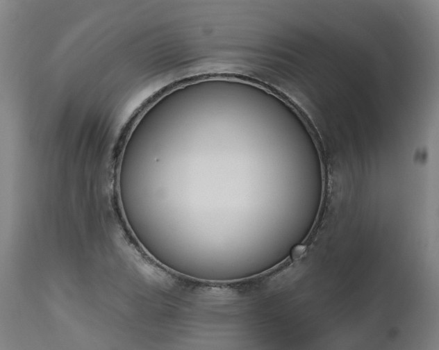 X0000112501119200908241343