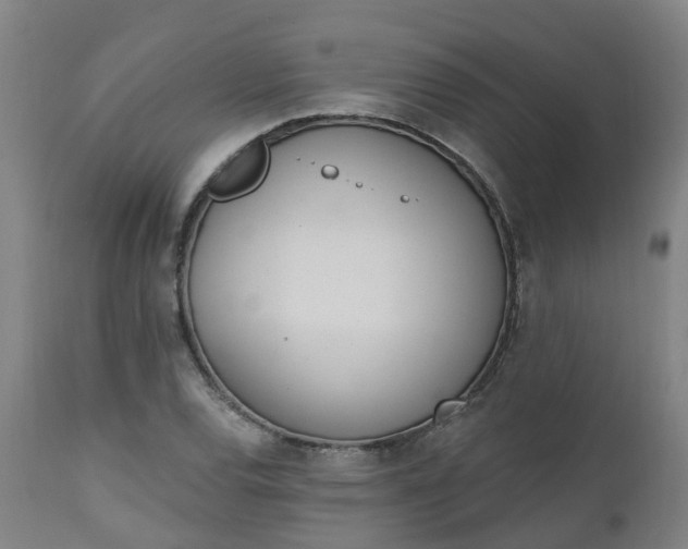 X0000112501120200908241343